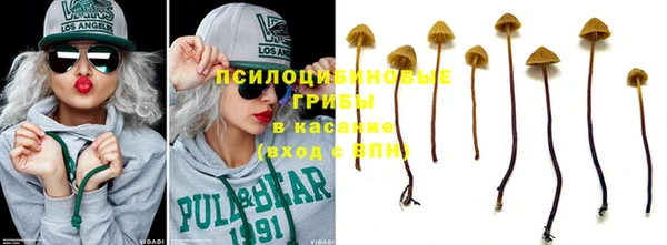 бутират Елизово