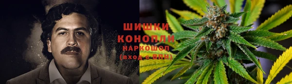мдма Ельня