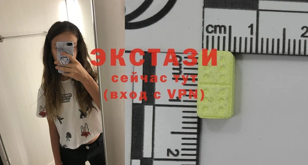 индика Чекалин