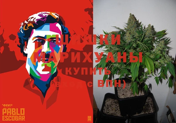 мдма Ельня