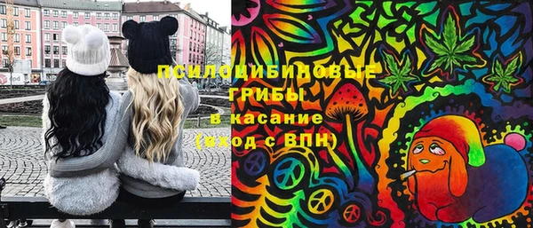мдма Ельня