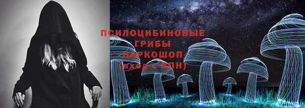 мдма Ельня