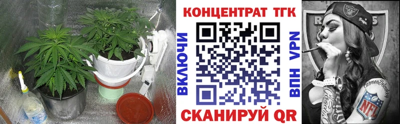 ТГК Wax  Медынь 