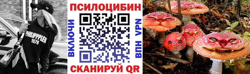 Псилоцибиновые грибы мицелий купить наркоту Медынь