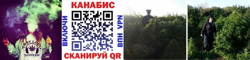 Бошки марихуана AK-47  Медынь 